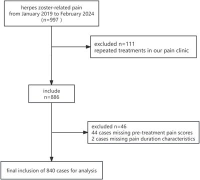 The relationship between pain duration characteristics and pain intensity in herpes zoster-related pain: a single-center retrospective study